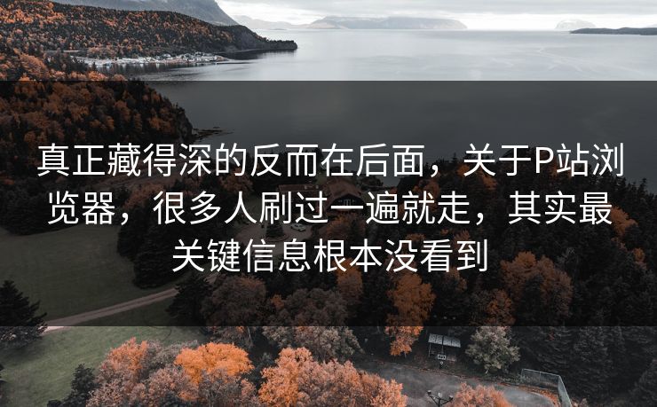 真正藏得深的反而在后面，关于P站浏览器，很多人刷过一遍就走，其实最关键信息根本没看到