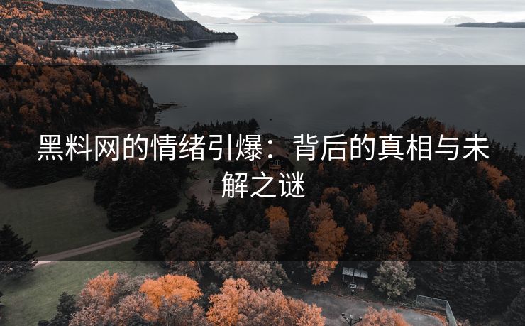 黑料网的情绪引爆：背后的真相与未解之谜