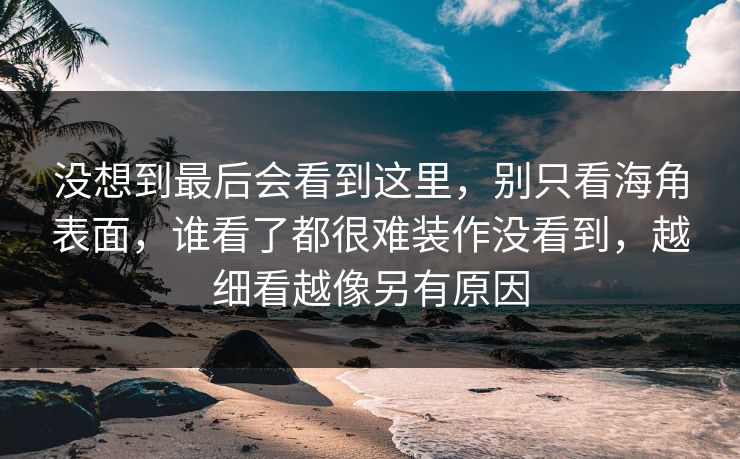 没想到最后会看到这里，别只看海角表面，谁看了都很难装作没看到，越细看越像另有原因