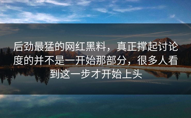 后劲最猛的网红黑料，真正撑起讨论度的并不是一开始那部分，很多人看到这一步才开始上头