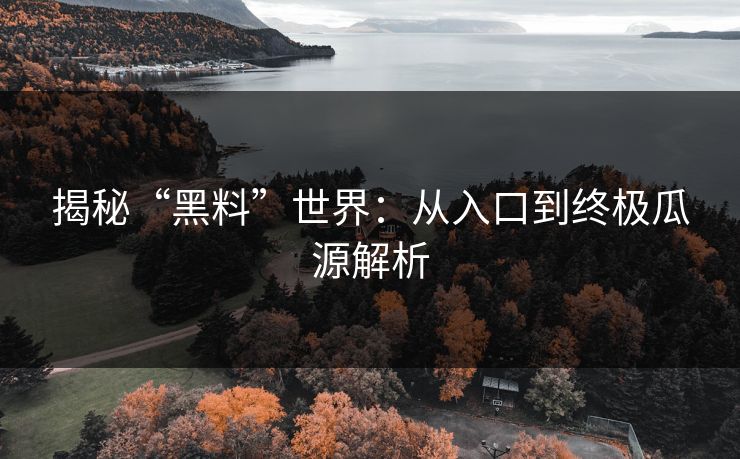 揭秘“黑料”世界：从入口到终极瓜源解析