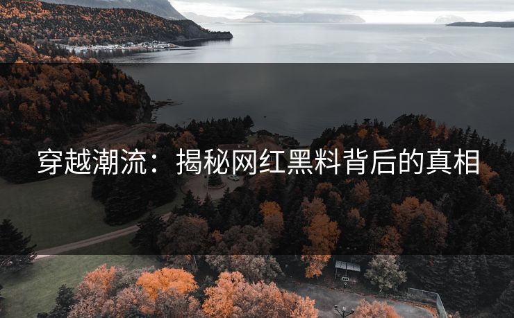 穿越潮流：揭秘网红黑料背后的真相