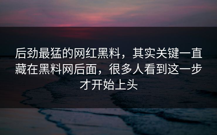 后劲最猛的网红黑料，其实关键一直藏在黑料网后面，很多人看到这一步才开始上头
