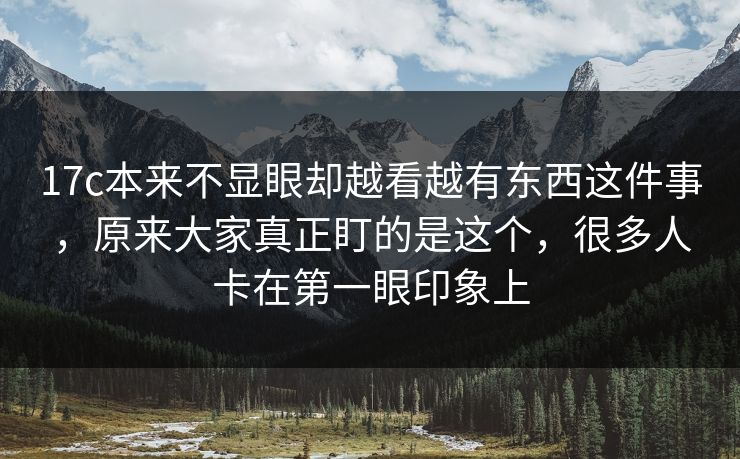 17c本来不显眼却越看越有东西这件事，原来大家真正盯的是这个，很多人卡在第一眼印象上